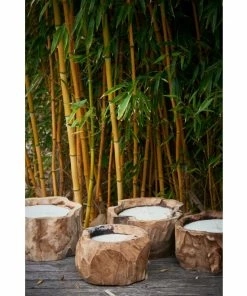 Jan Kurtz FLOWER Windlicht - Outdoor - Ø Ca. 20-30 Cm - Höhe 16 Cm - Natur -Culti Shop unnamed file 1177