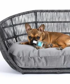 LABONI WALK AT THE SEASIDE TIERDUFT-SPRAY - 9 LABONI WALK AT THE SEASIDE TIERDUFT-SPRAY - -Culti Shop unnamed file 1188