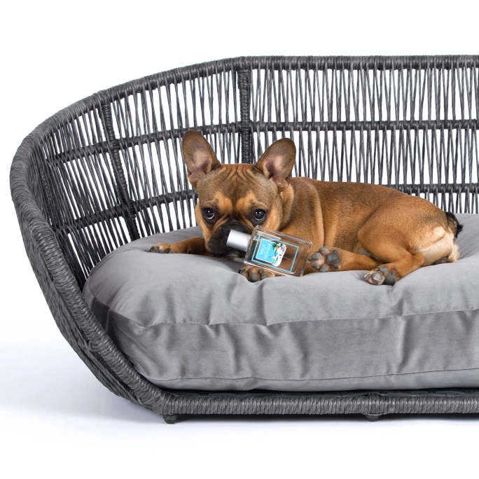 LABONI WALK AT THE SEASIDE TIERDUFT-SPRAY - 4 LABONI WALK AT THE SEASIDE TIERDUFT-SPRAY - – Bild 4