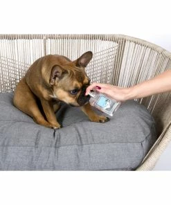 LABONI WALK AT THE SEASIDE TIERDUFT-SPRAY - 11 LABONI WALK AT THE SEASIDE TIERDUFT-SPRAY - -Culti Shop unnamed file 1190