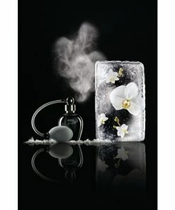 Alessi The Five Seasons 1 Brrr Raumduftvernebler - -Culti Shop unnamed file 1336