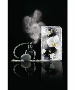 Alessi The Five Seasons 5 Shhh Raumduftvernebler - -Culti Shop unnamed file 1348