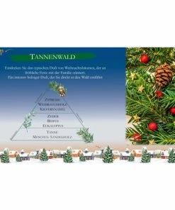 Collines De Provence Tannenwald Duftkerze - -Culti Shop unnamed file 508