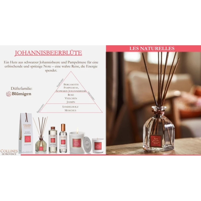 Collines De Provence Les Naturelles Schwarze Johannisbeer Duftker - 2 Collines De Provence Les Naturelles Schwarze Johannisbeer Duftker - – Bild 2