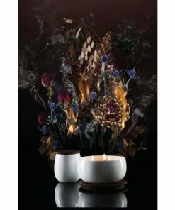 Alessi The Five Seasons Small 3 W Hmmm Duftkerze - -Culti Shop unnamed file 820